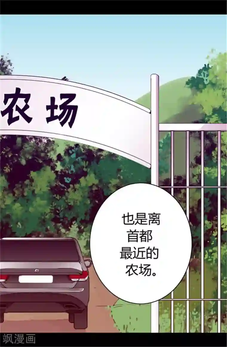 据说我是王的女儿第50话 棉花农场的意外收获