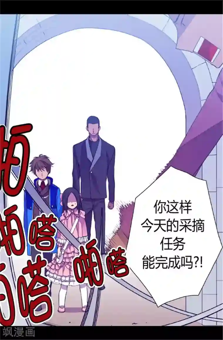 据说我是王的女儿第50话 棉花农场的意外收获