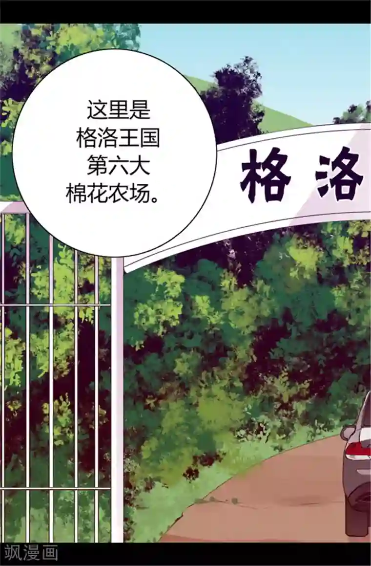 据说我是王的女儿第50话 棉花农场的意外收获