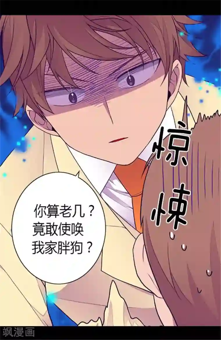 据说我是王的女儿第141话 我家的宠物胖狗