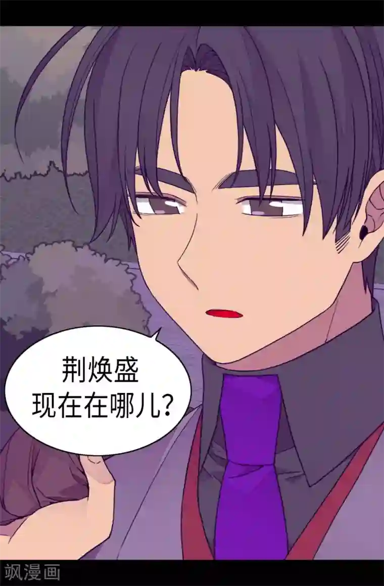 据说我是王的女儿第269话 二哥为我来的？