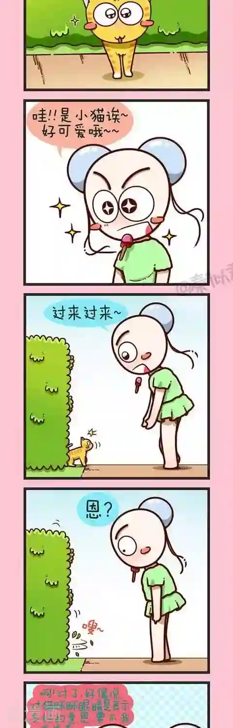 四四和五五第2话 小猫