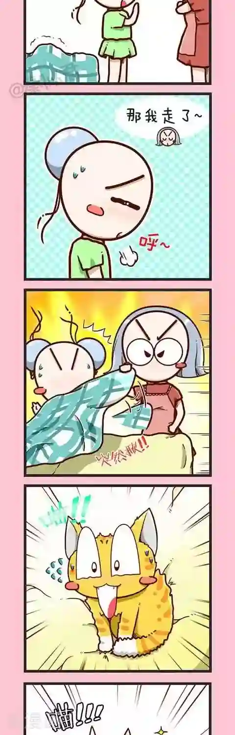 四四和五五第2话 小猫