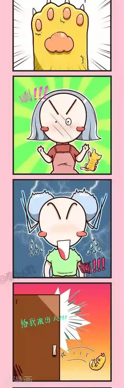 四四和五五第2话 小猫