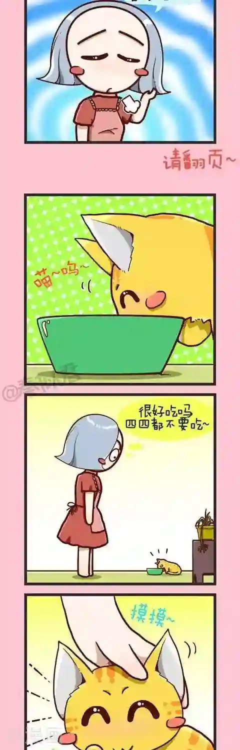 四四和五五第2话 小猫