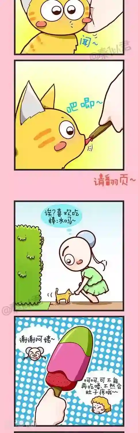 四四和五五第2话 小猫