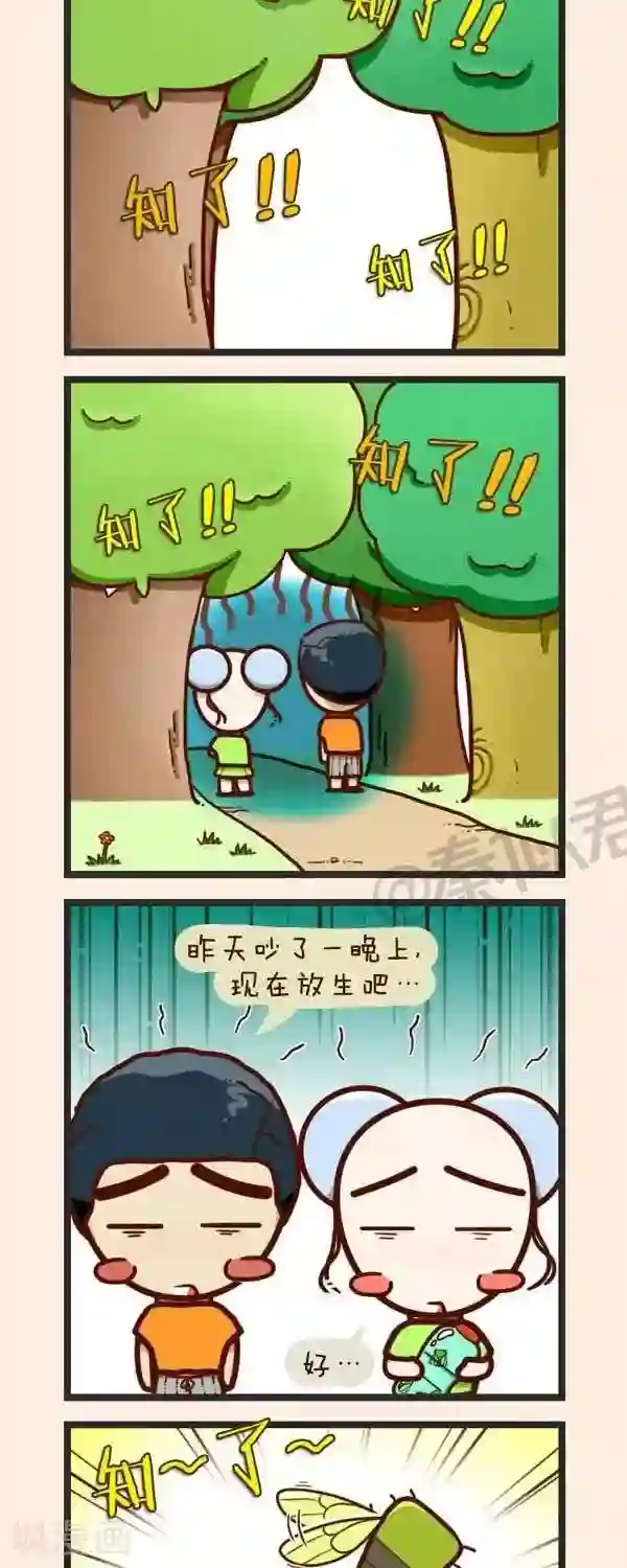 四四和五五第37话 捉知了
