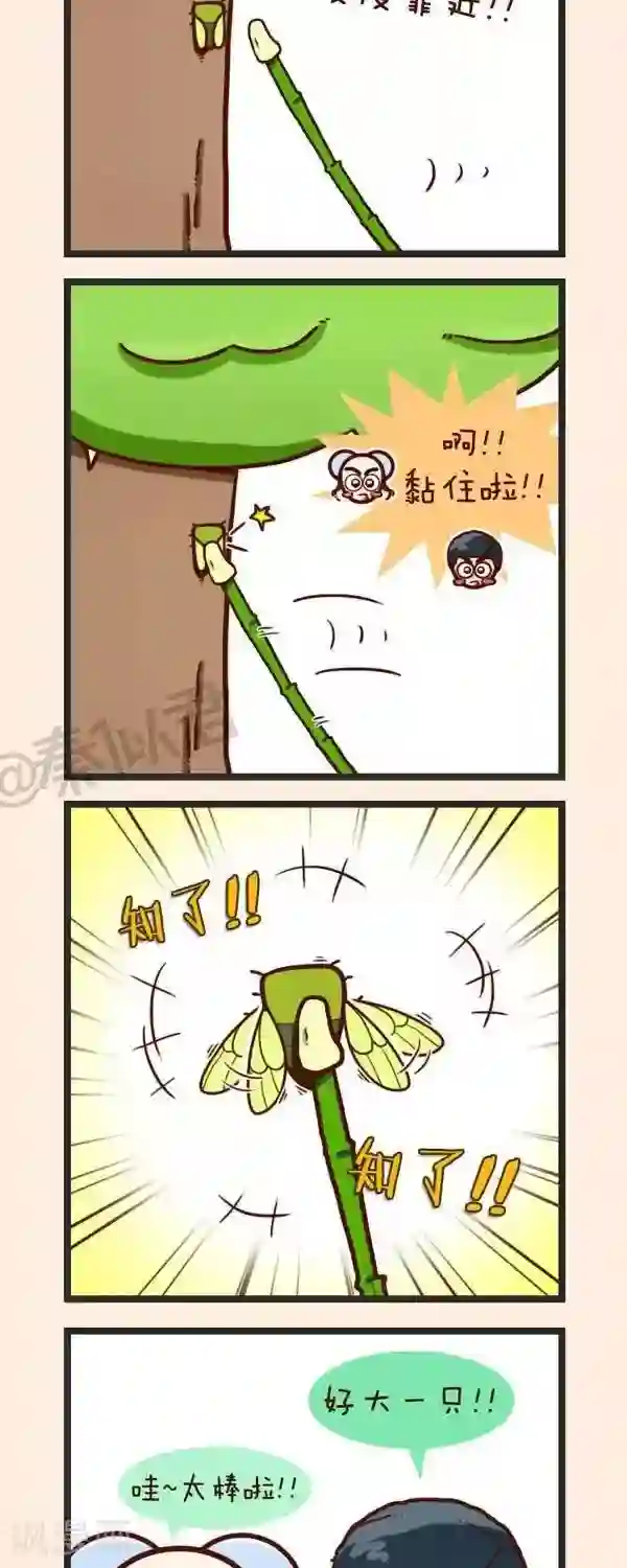 四四和五五第37话 捉知了