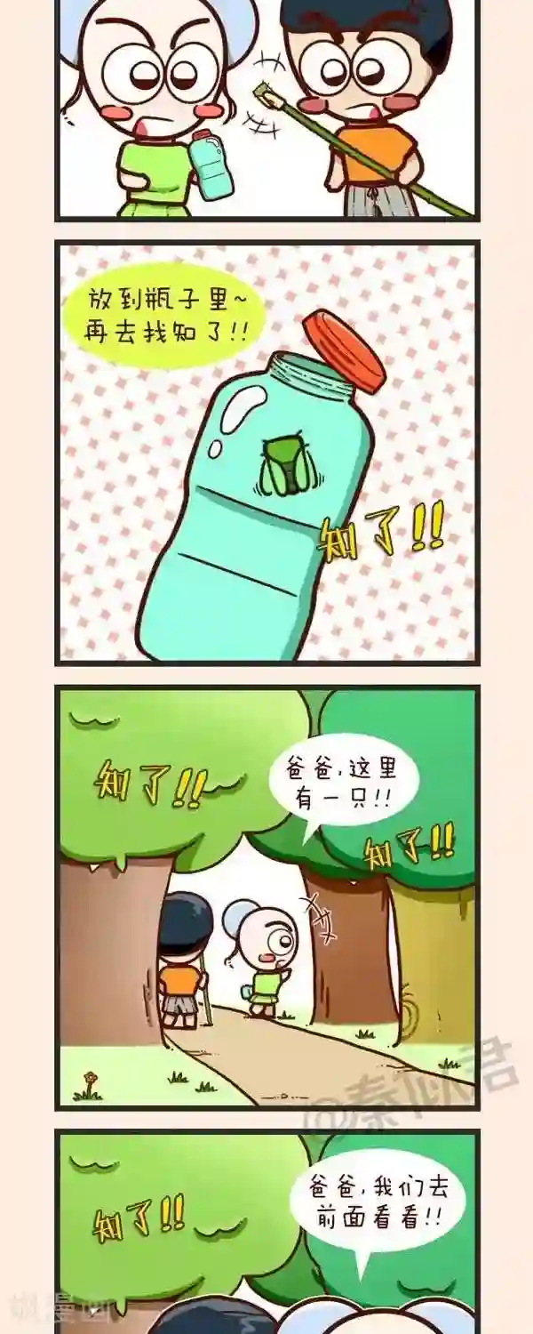 四四和五五第37话 捉知了