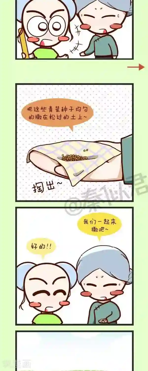 四四和五五第45话 种青菜