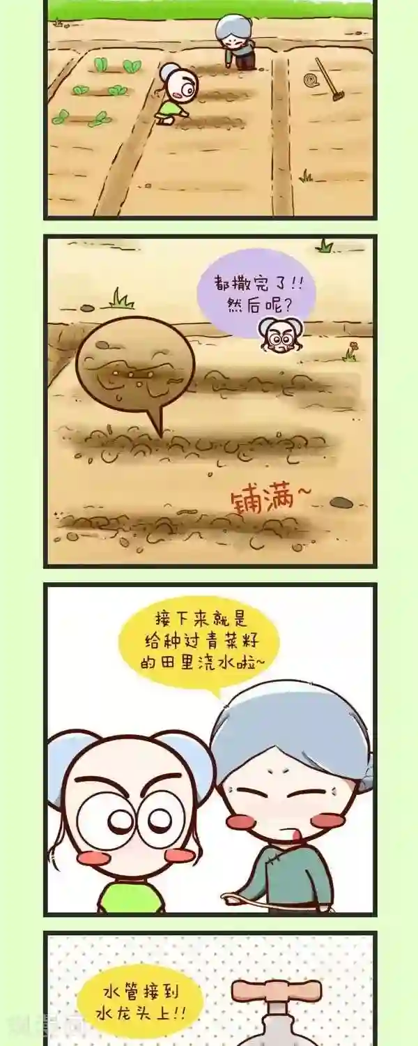 四四和五五第45话 种青菜