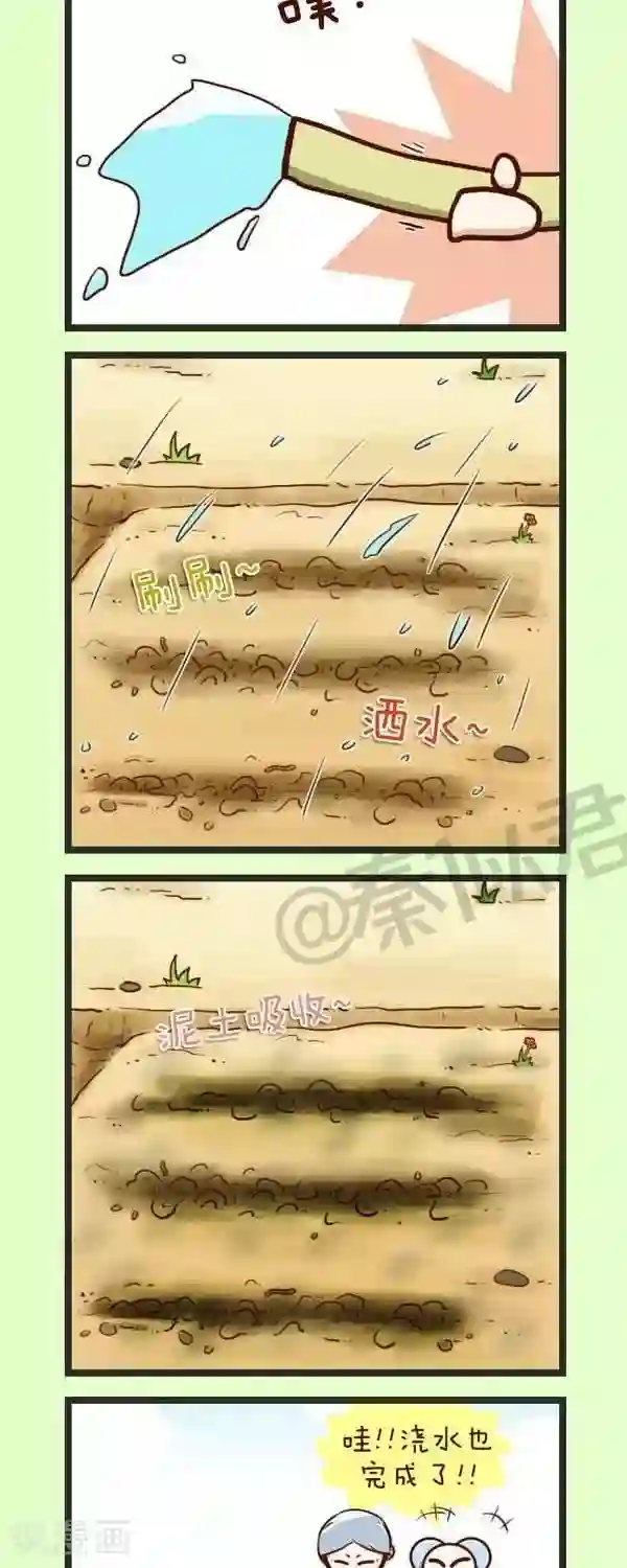 四四和五五第45话 种青菜