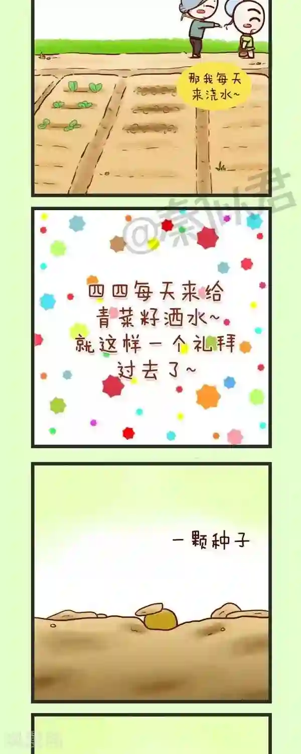 四四和五五第45话 种青菜