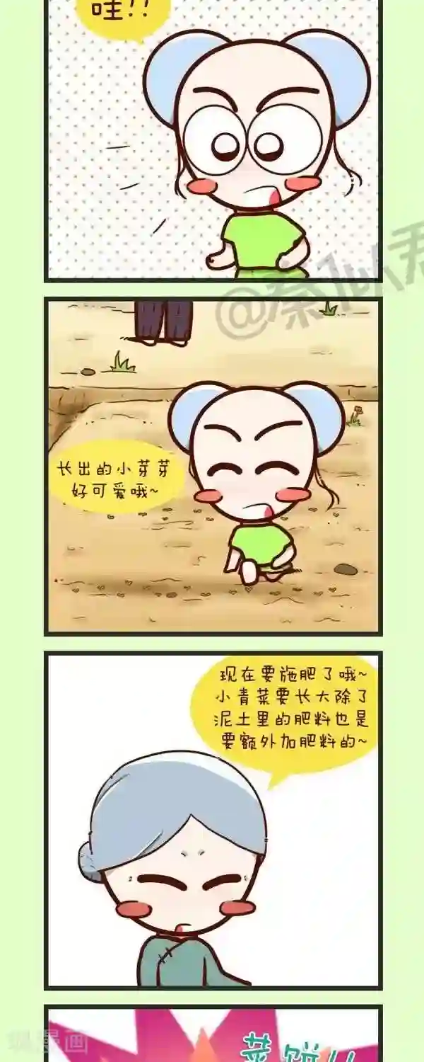 四四和五五第45话 种青菜