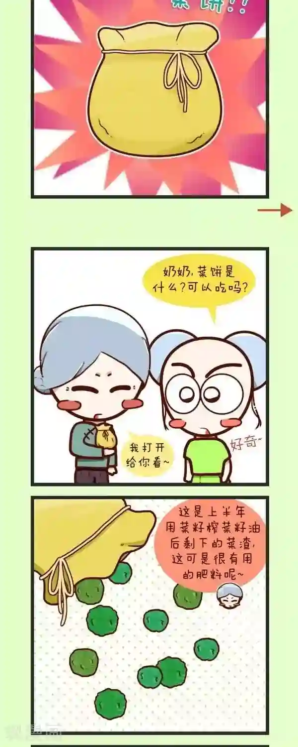 四四和五五第45话 种青菜