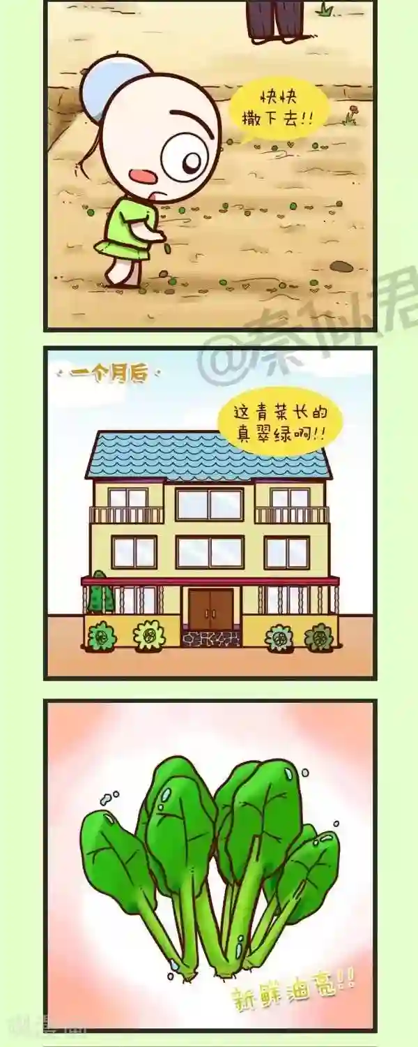 四四和五五第45话 种青菜