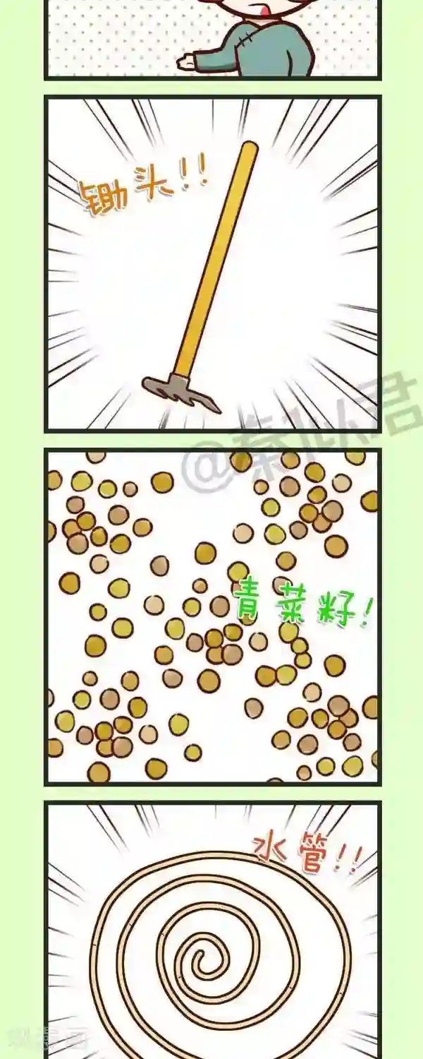 四四和五五第45话 种青菜