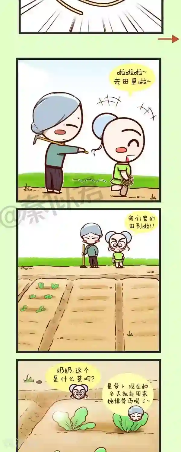 四四和五五第45话 种青菜