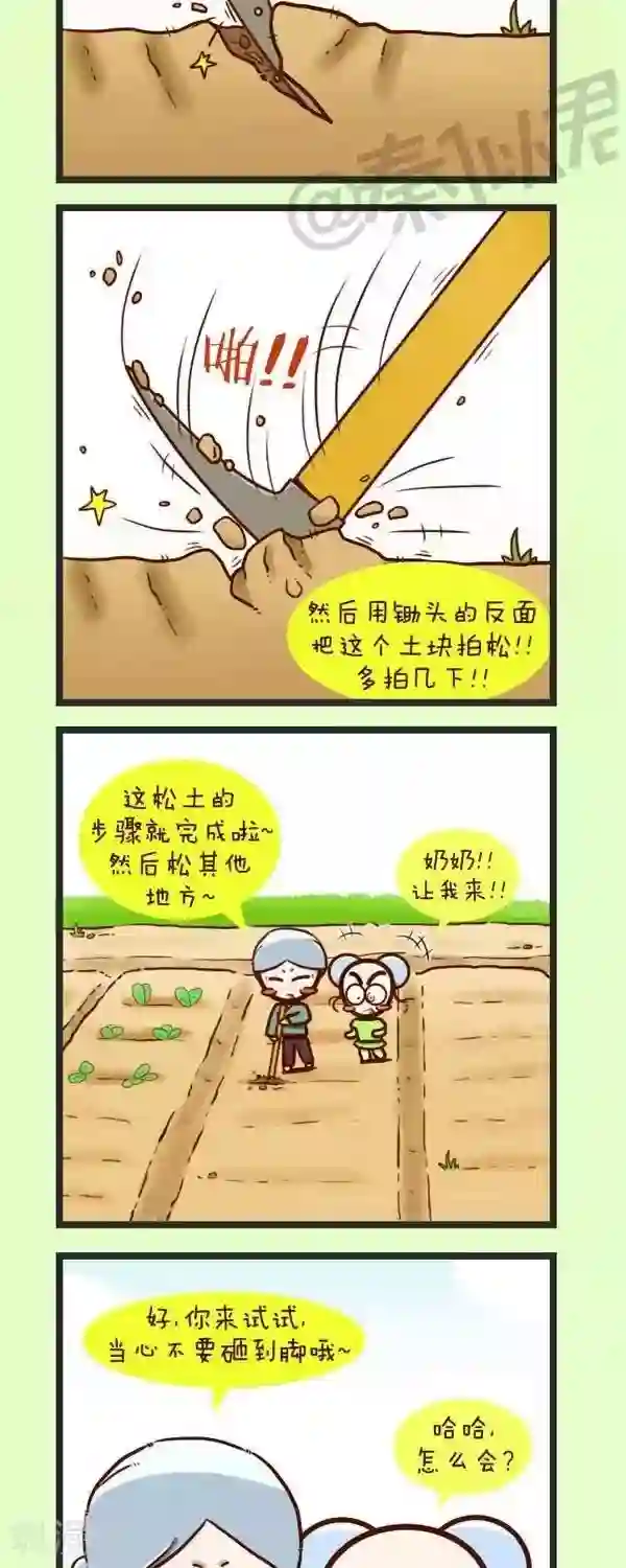 四四和五五第45话 种青菜