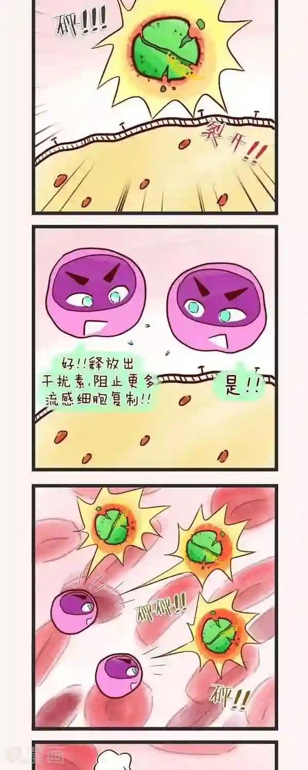 四四和五五第49话 生病了