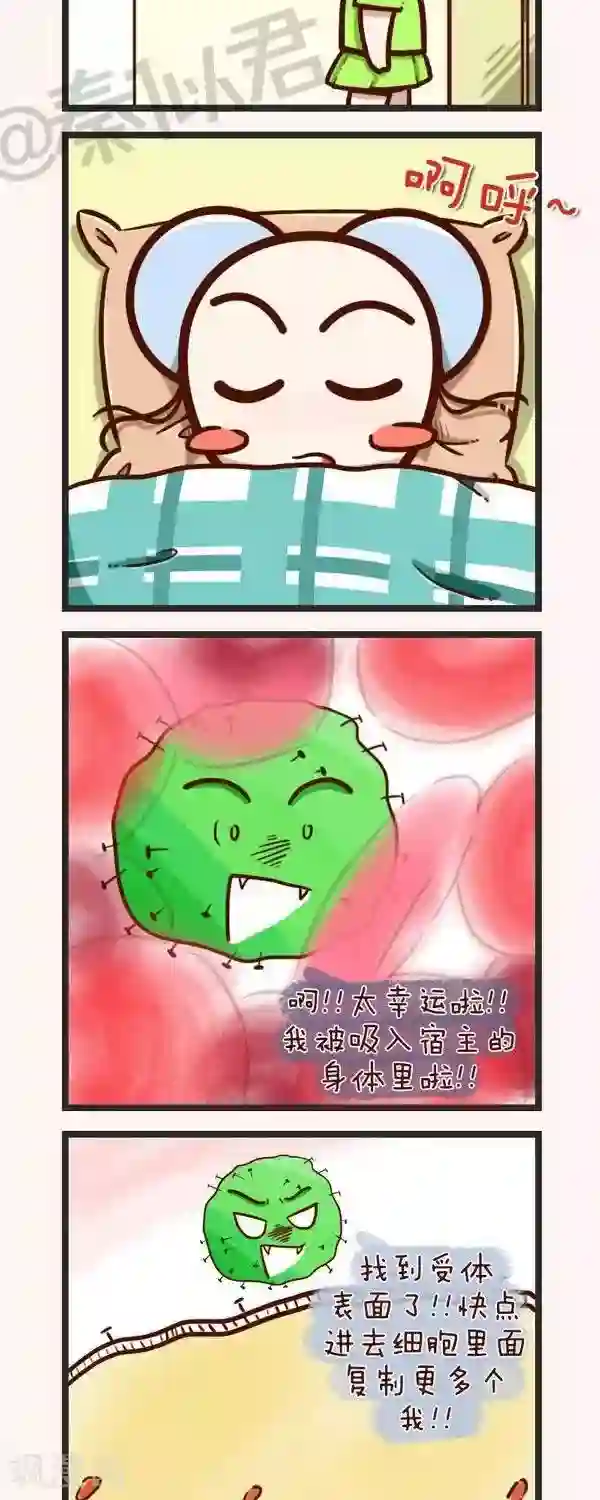 四四和五五第49话 生病了