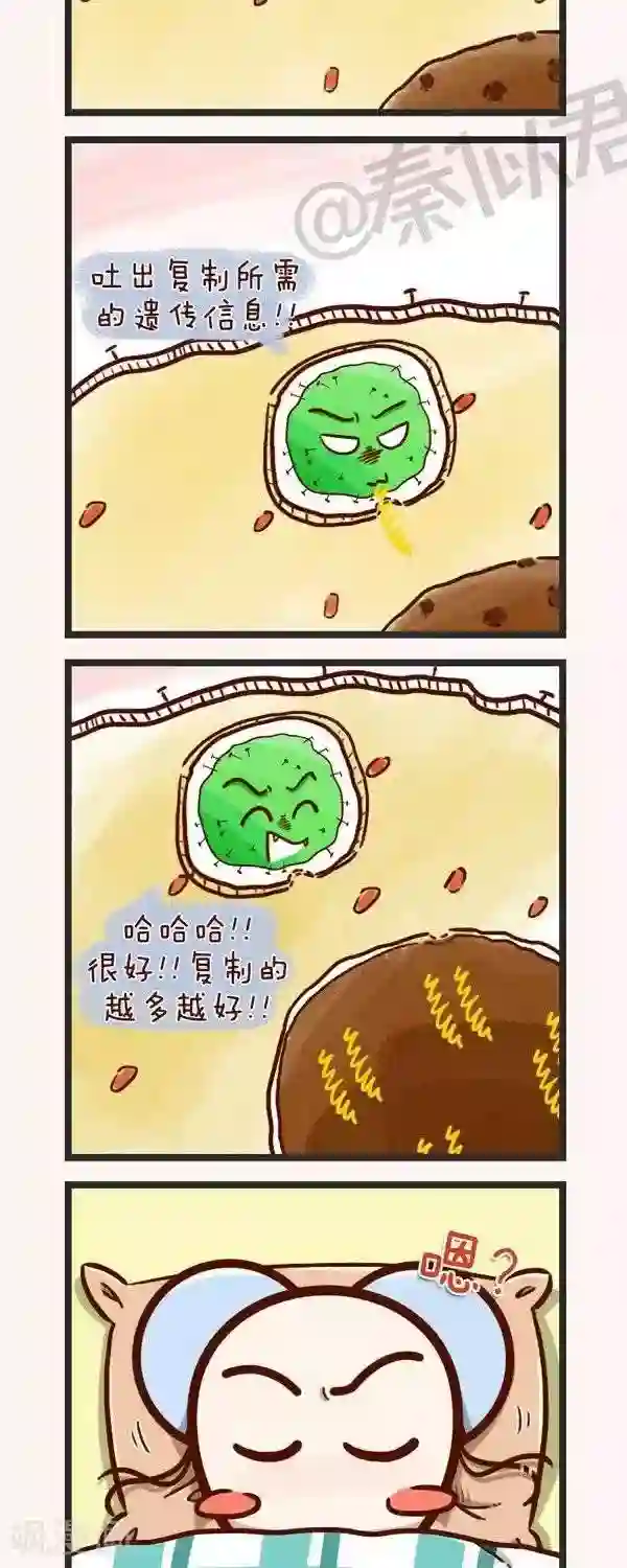 四四和五五第49话 生病了