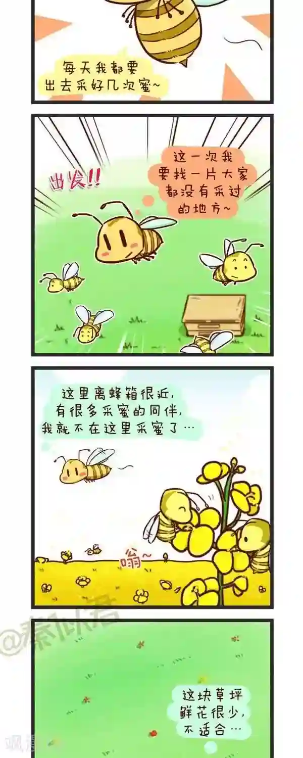 四四和五五第61话 采花蜜