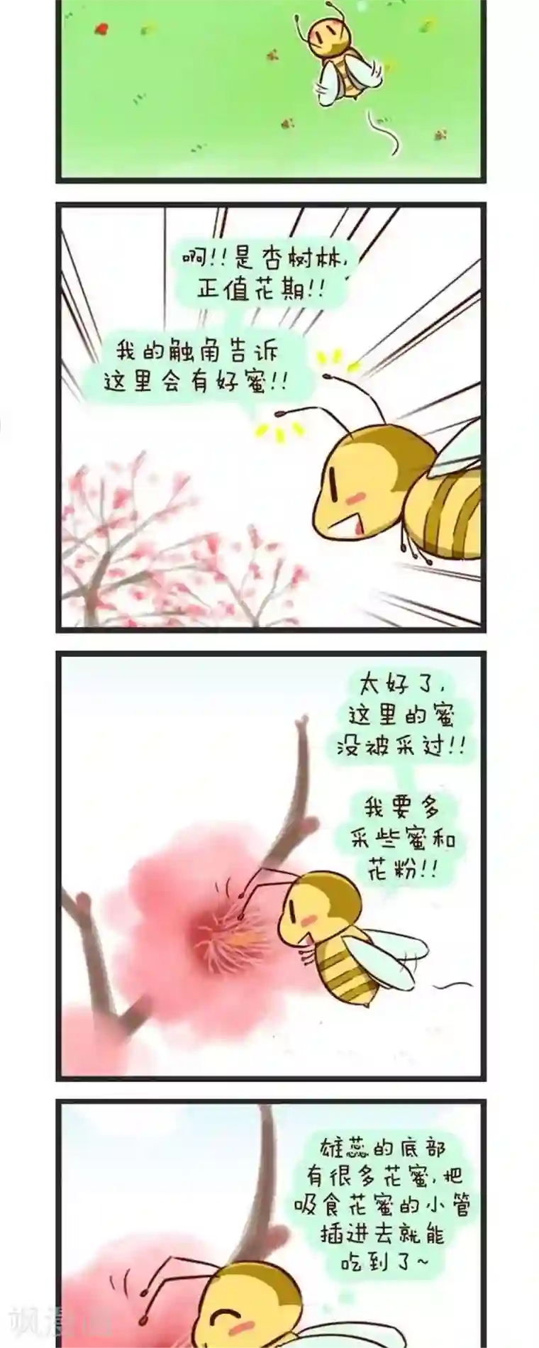 四四和五五第61话 采花蜜