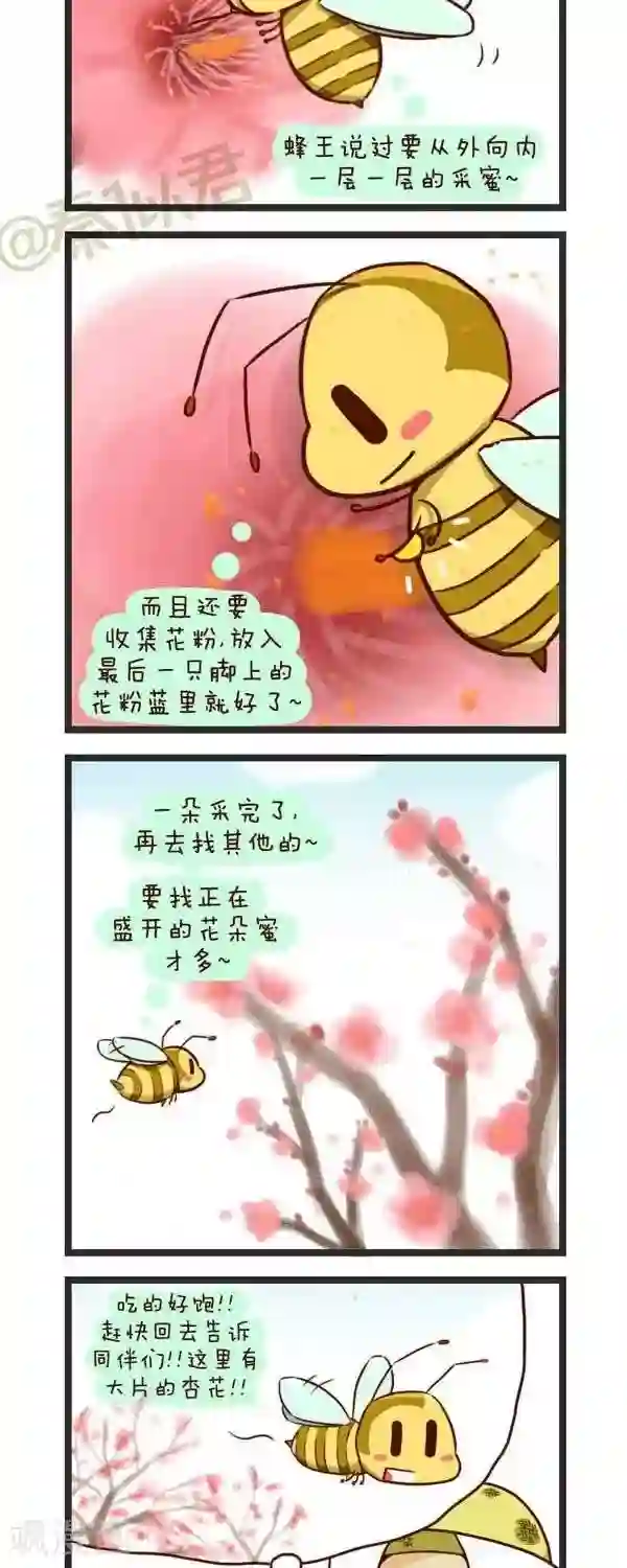 四四和五五第61话 采花蜜