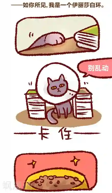 言之有物第22话