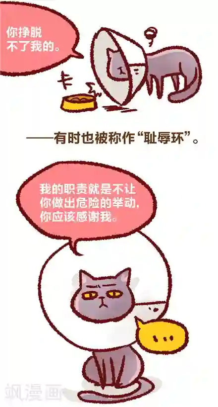 言之有物第22话