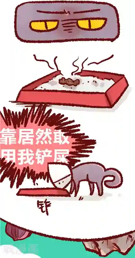 言之有物第22话