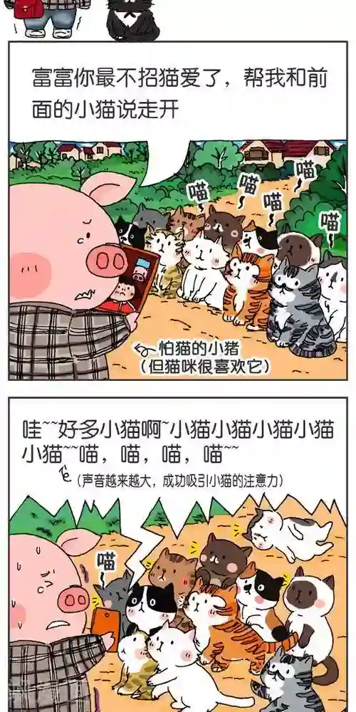 流浪汉夺处小叶摄影棚第121话 第一次出周边