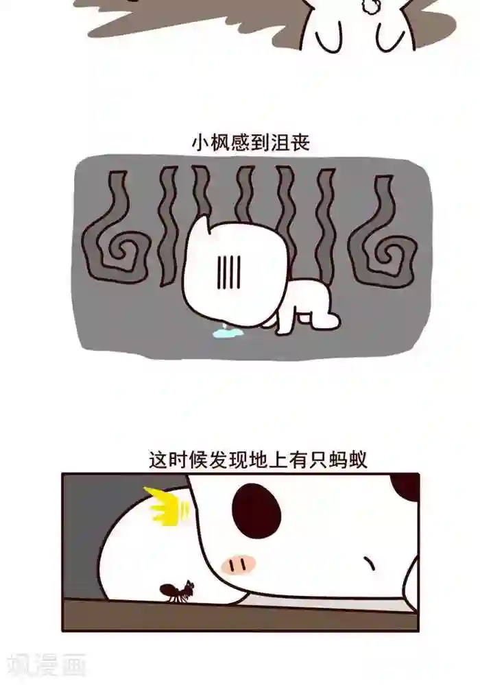 喵庙の那些故事第10话