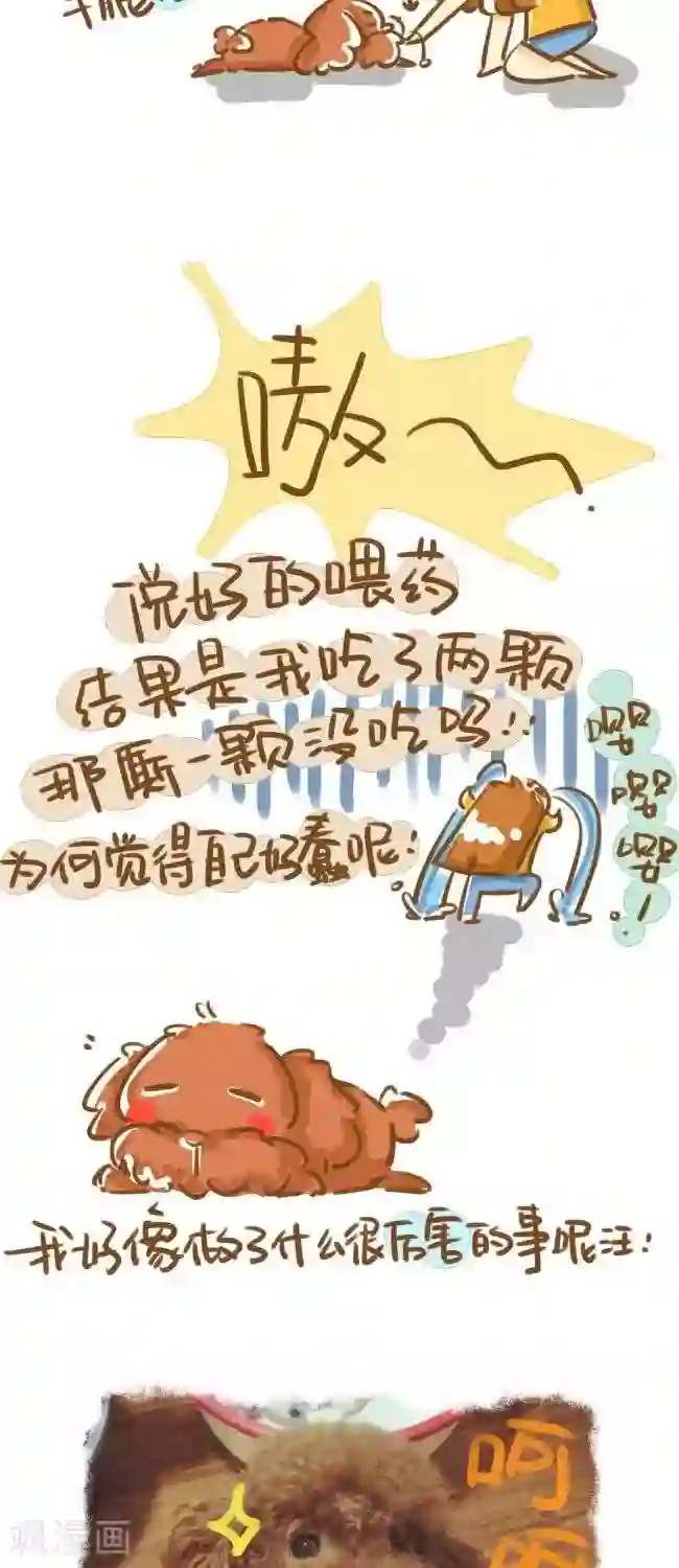 你这么逗B对得起谁第11话 狗奴日常