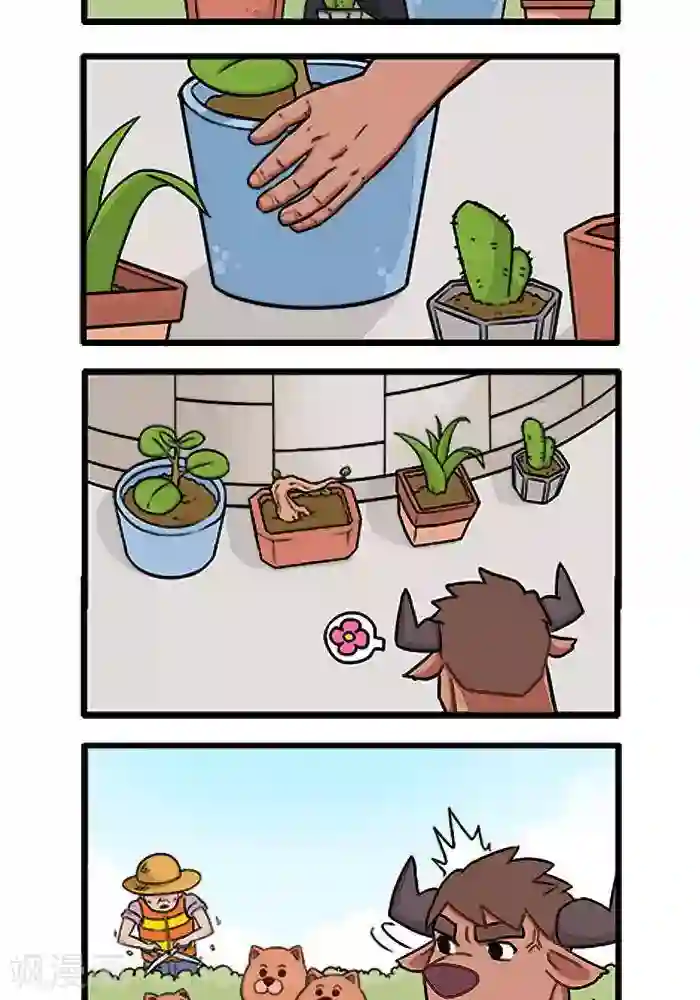 肌友一箩筐第15话 大牛的强迫症2