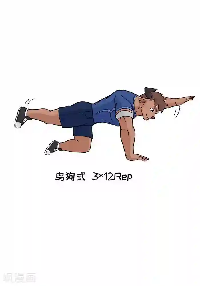 肌友一箩筐番外3 大牛的核心训练日