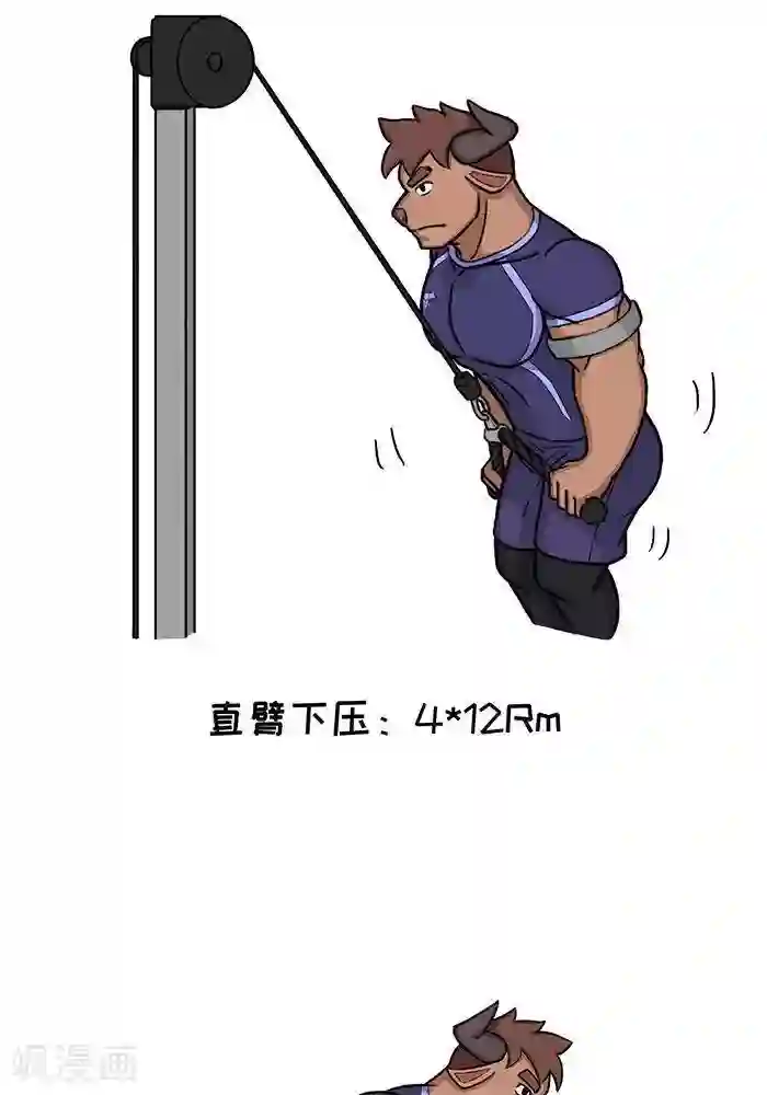 肌友一箩筐番外5 大牛的练背日