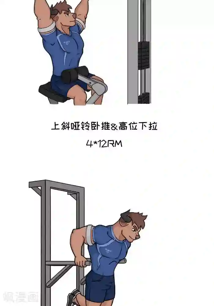 肌友一箩筐番外7 大牛胸背超级组