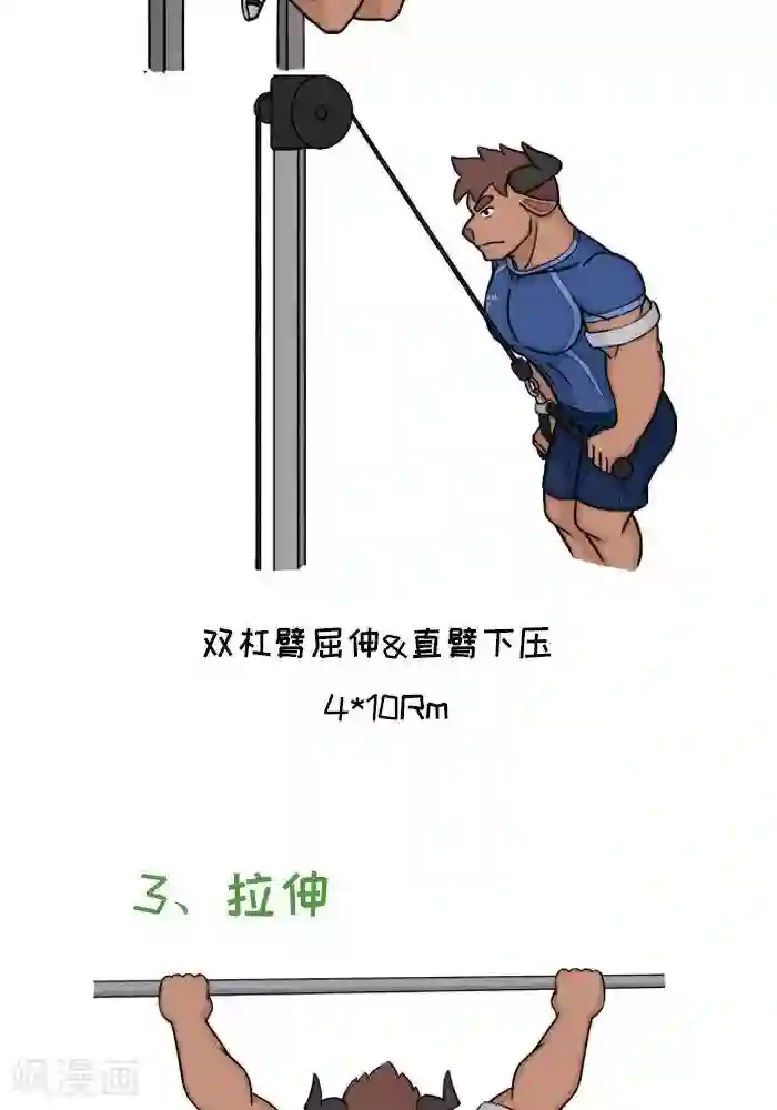 肌友一箩筐番外7 大牛胸背超级组
