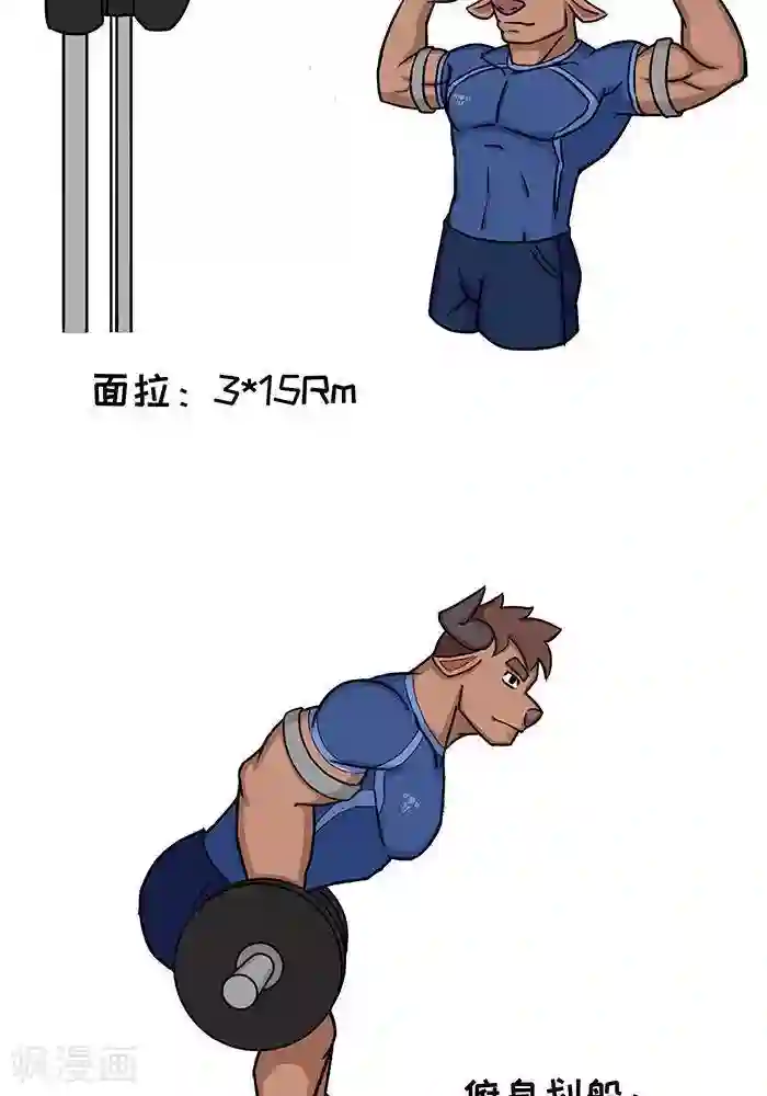 肌友一箩筐番外10 大牛的拉类训练日