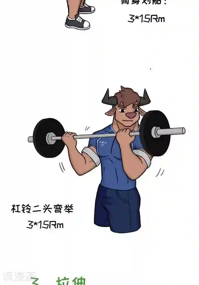 肌友一箩筐番外10 大牛的拉类训练日