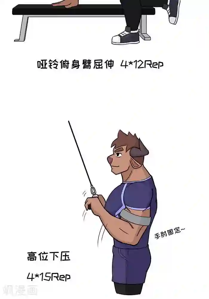 肌友一箩筐番外11 大牛的手臂训练日