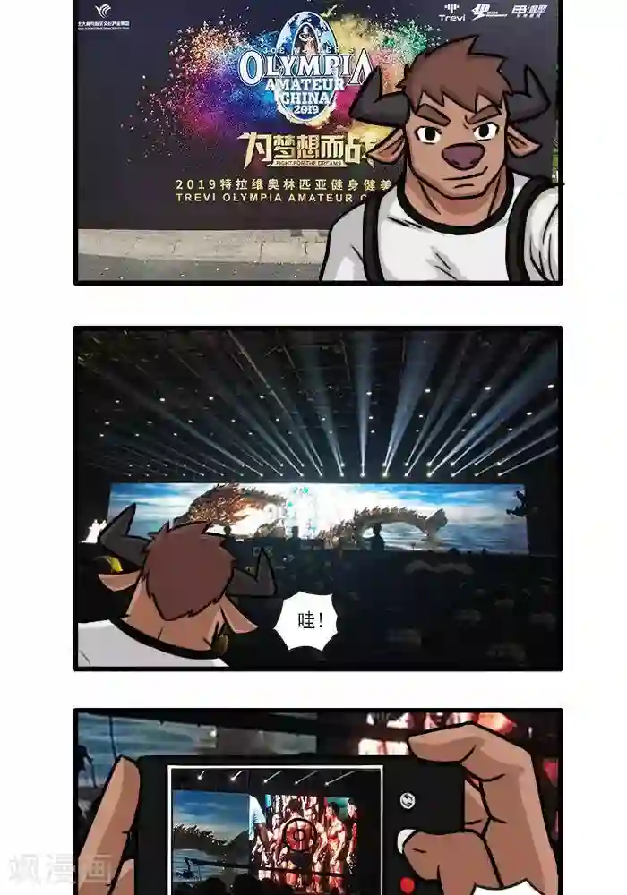 肌友一箩筐番外14 看奥赛