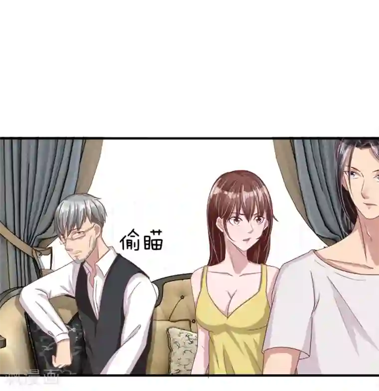 绝世小神医第27话 爷爷的计划