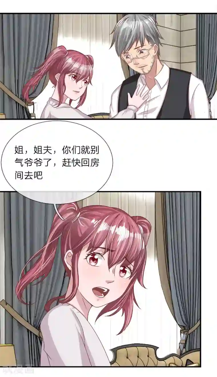 绝世小神医第27话 爷爷的计划