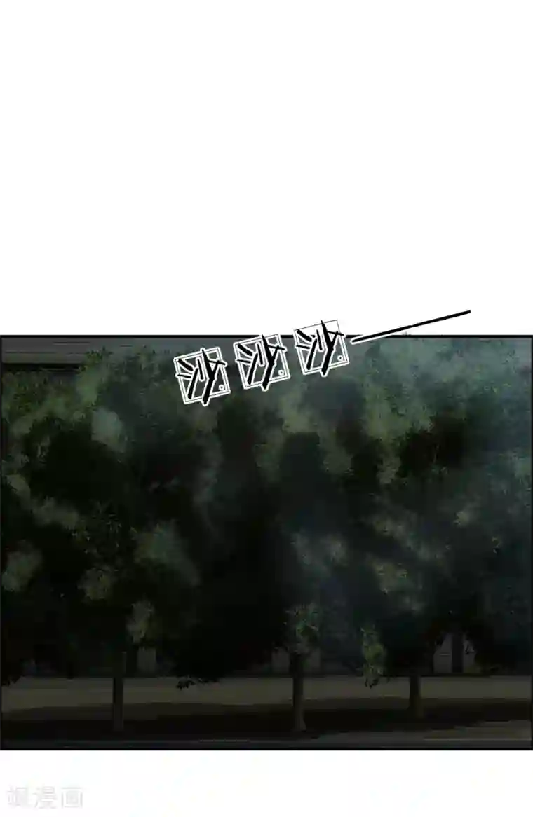 绝世小神医第40话 不速之客