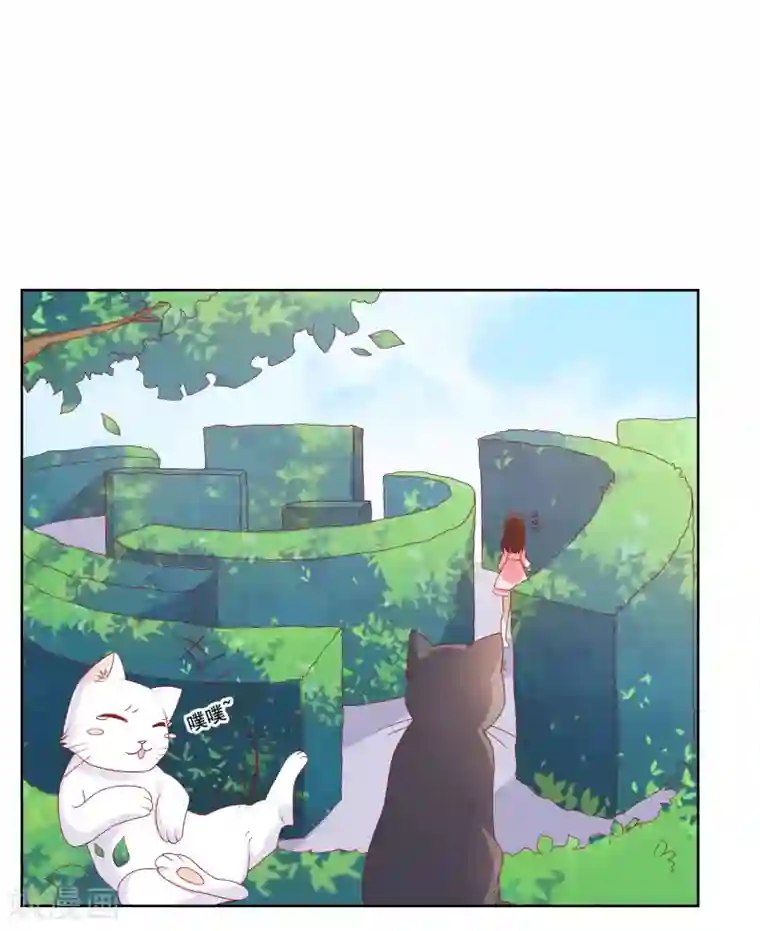 腿毛自动脱落的年龄第8话 确认过眼神，你是对的人2