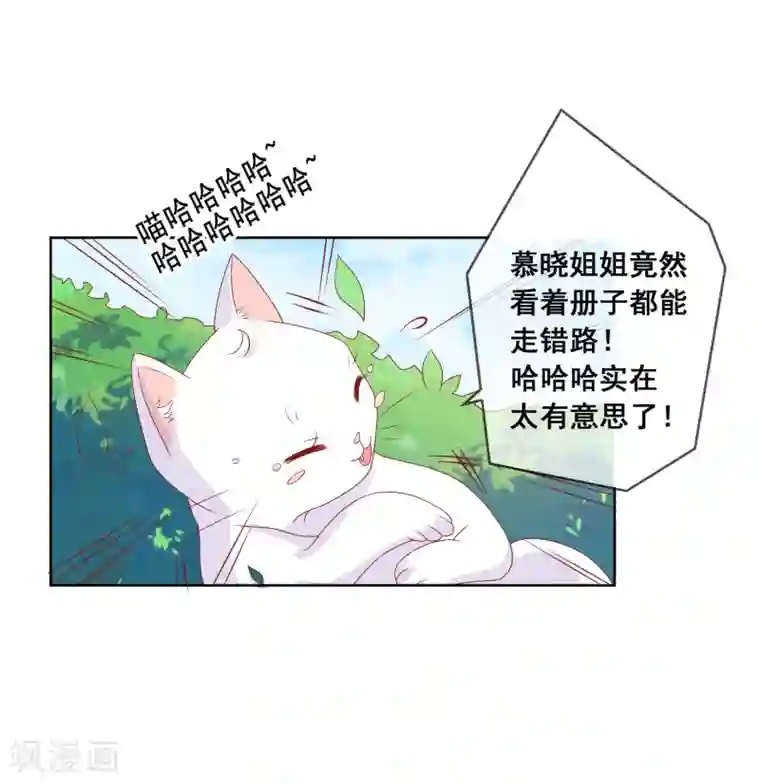 腿毛自动脱落的年龄第8话 确认过眼神，你是对的人2