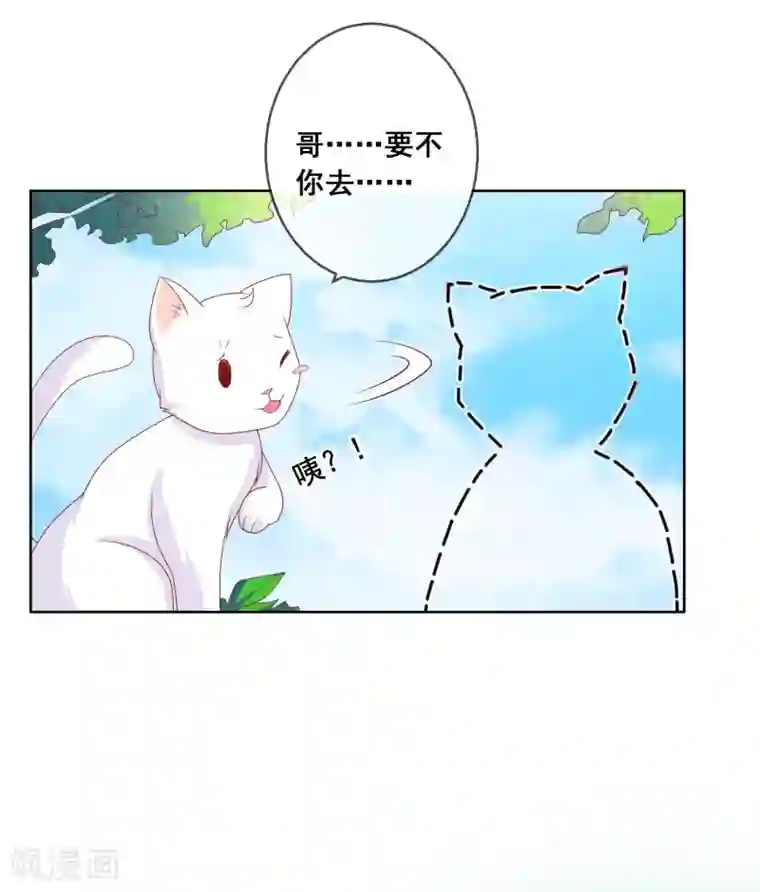 腿毛自动脱落的年龄第8话 确认过眼神，你是对的人2